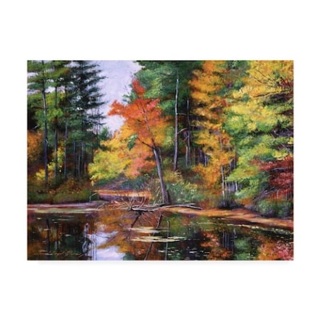 David Lloyd Glover 'Lakeside Reflections' Canvas Art,35x47